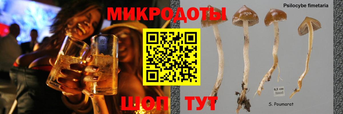 Екатеринбург  Псилоцибиновые грибы Psilocybe  Вход с VPN 